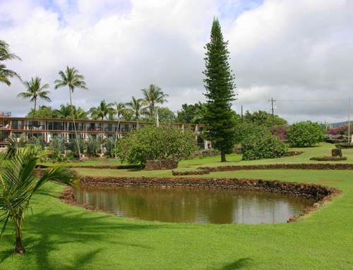 Hawai‘i Scenic Byways Highlight Historic Corridors, Other Intrinsic Values