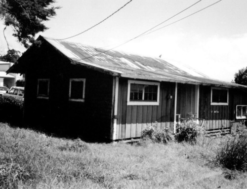 64-810 Mamalahoa Highway/ Kawabata Homestead Family House