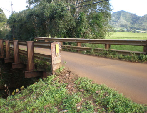 Puuopae Bridge