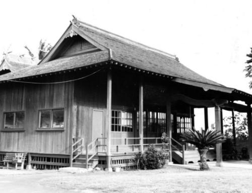 Maui Jinsha Mission
