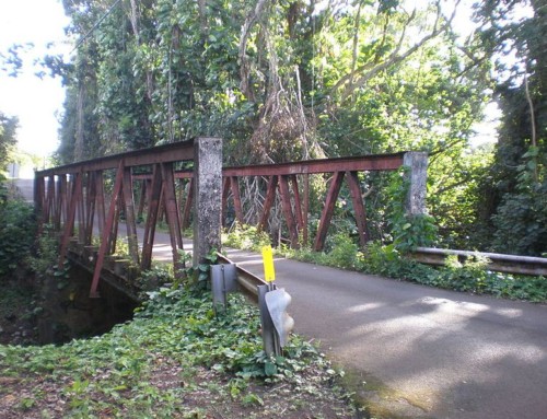 Ō’paekaʻa and Pu’uopae Bridges (2012)