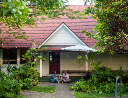 Membership Corner:  Richard and Sooz Mirikitani and their Historic Home, The Carl & Florence Bayer Estate