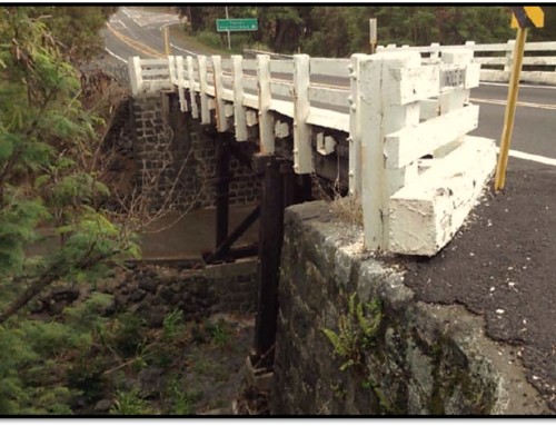 Most Endangered Spotlight: Ninole Stream Bridge