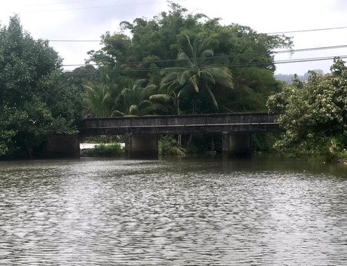 Emergency Repairs to Kaua‘i Belt Road Will Retain and Strengthen Wai‘oli Bridge, Demolish Two Other Historic Bridges