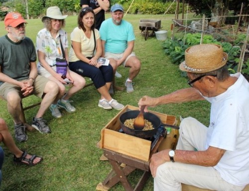 Preservation Month: “Hands on History” at the Kona Coffee Living History Farm