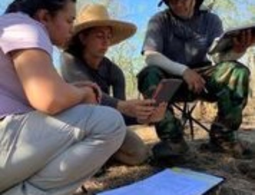 Learning Archaeology through a Hawaiian Lens
