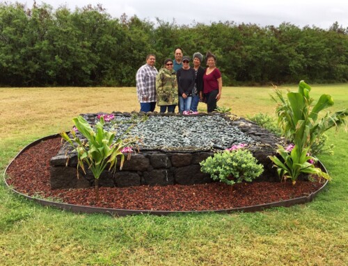 Lua Kupapaʻu  O Nohili Crypt Preserves, Protects & Honors Iwi  Kūpuna on Kaua‘i