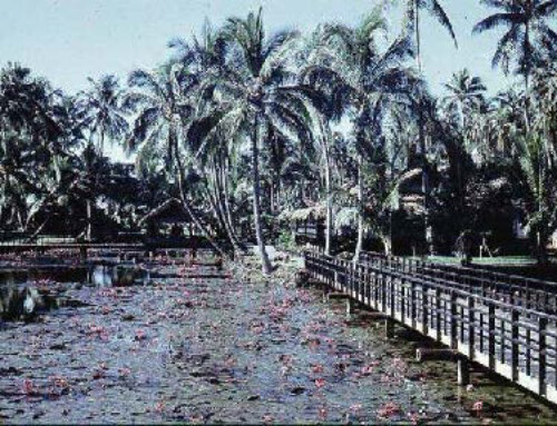 Coco Palms Resort