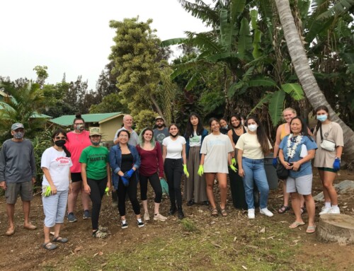 Bridging Youth Education and Volunteerism at Hāmākua Jodo Mission