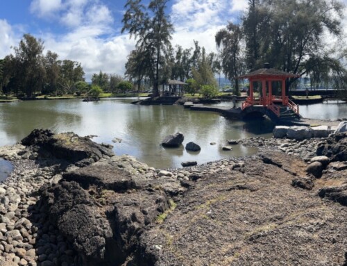 With a Little Help from Japan: Stone Beaches Rebuilt in Lili‘uokalani Park 