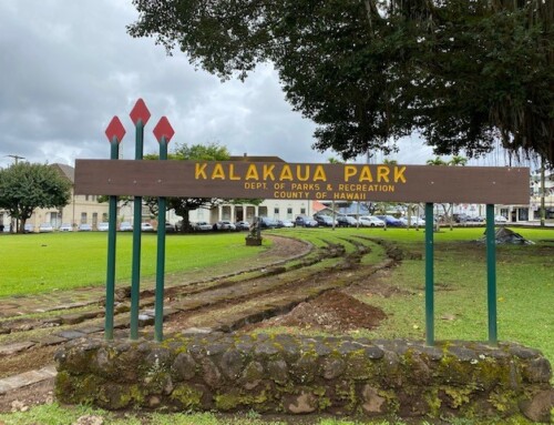Kalākaua Park Restores Original Landscape Design