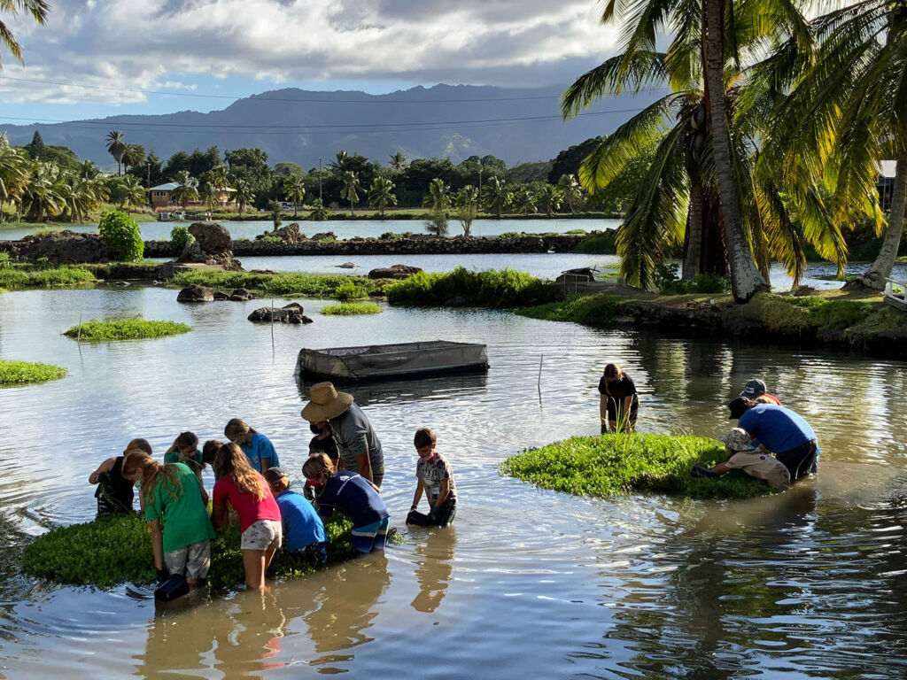 Students at Loko ea. Photo courtesy of Malama Loko Ea Foundation.