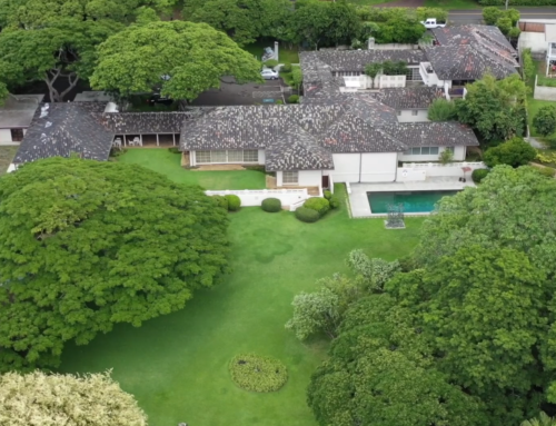 Can This Venerable Makiki Heights Home Be Transformed Into A Filmmaking Hub?