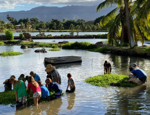 ACHP Approves NHPA Section 106 Exemption for Native Hawaiian Restoration Actions