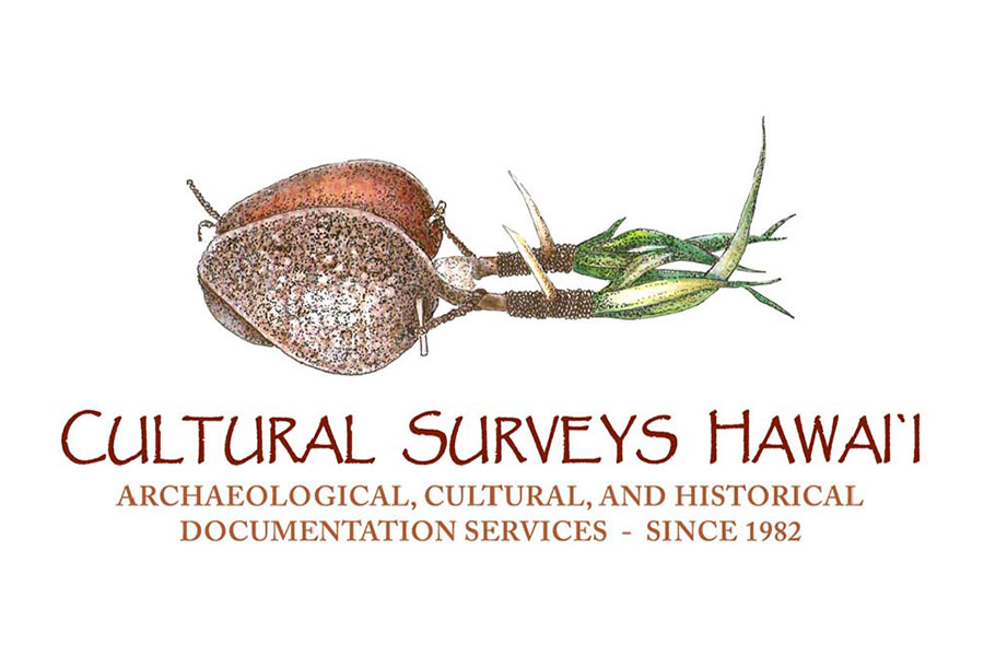 Cultural Surveys